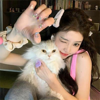 枭爷,叶小姐又来求婚了